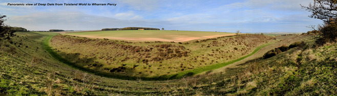 Deepdale Panorama